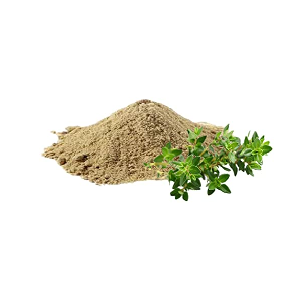 BRAHMI LEAVES POWDER (Bacopa monnieri)