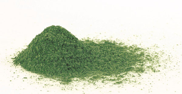 BROCCOLI POWDER