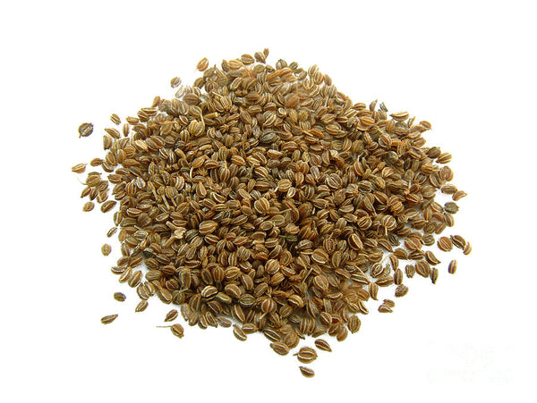 CELERY SEEDS