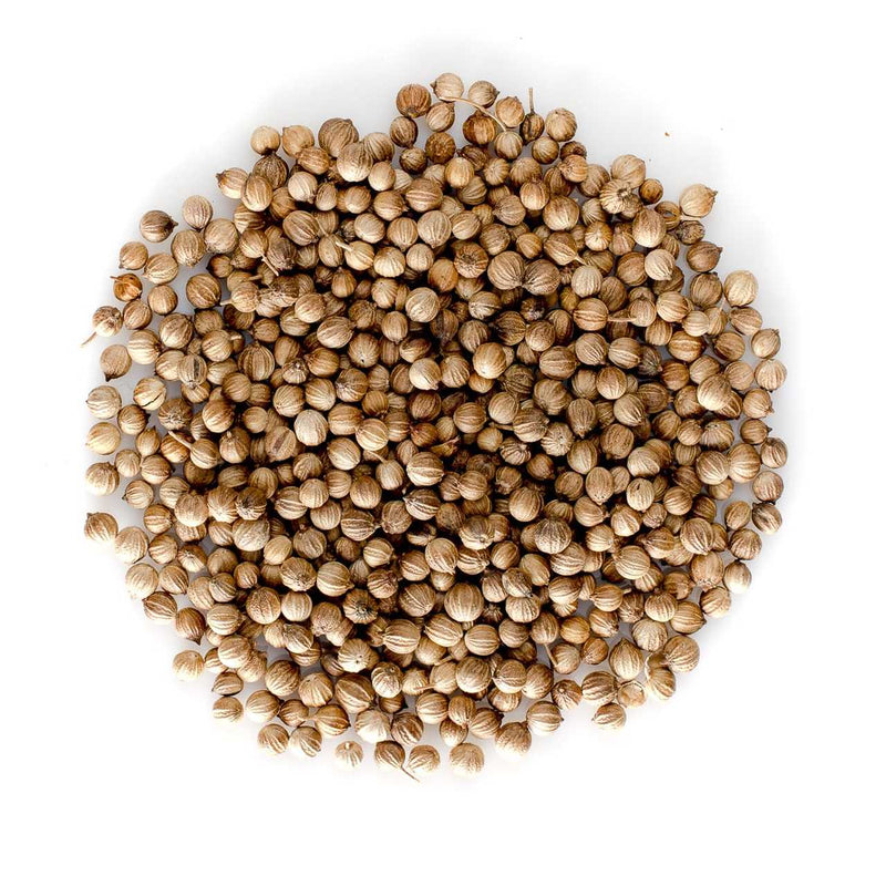 CORIANDER SEEDS WHOLE