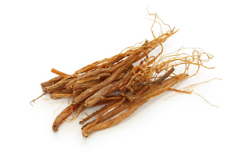 GINSENG PANAX KOREAN ROOT