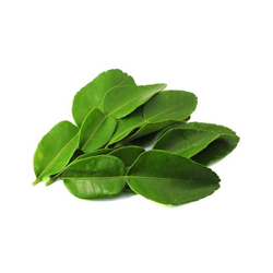 KAFFIR LEAVES