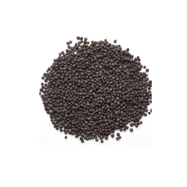 MUSTARD SEEDS BLACK