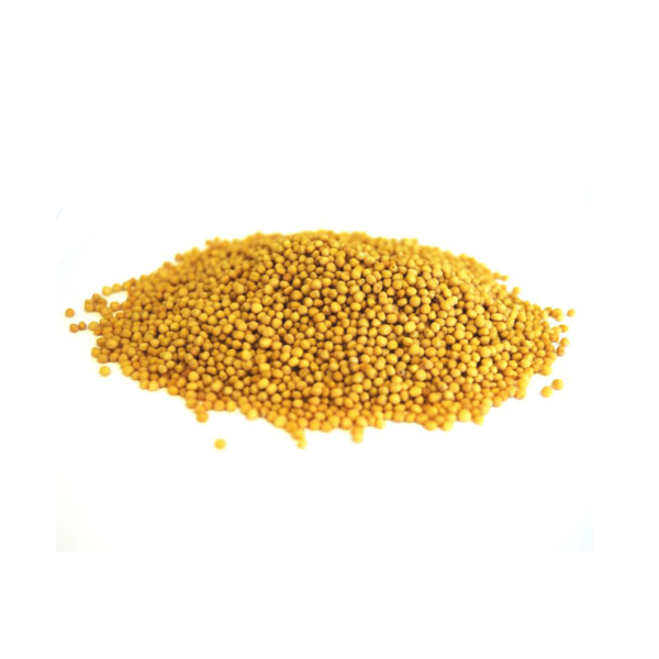 MUSTARD SEED YELLOW