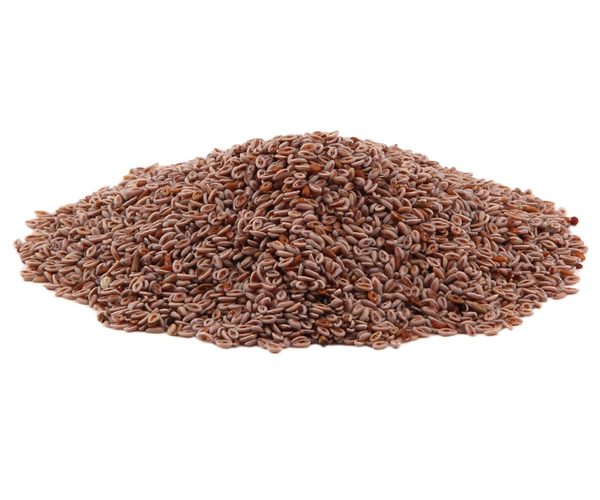 PSYLLIUM SEED BLONDE WHOLE