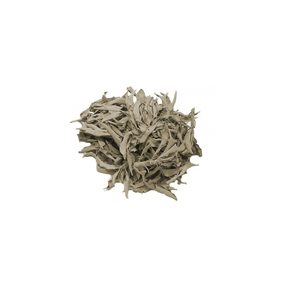 SAGE LEAF WHITE (CEREMONIAL)