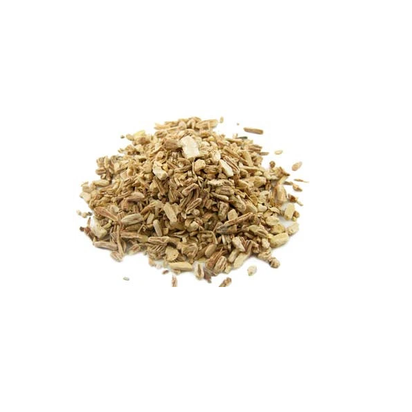 SOAPWORT ROOT C/S