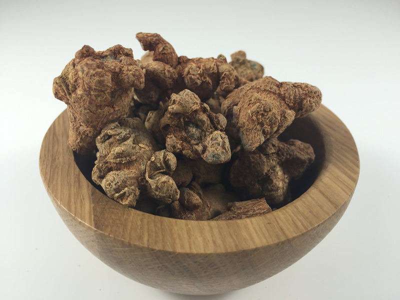 NOTOGINSENG PANAX ROOT (TIENCHI)